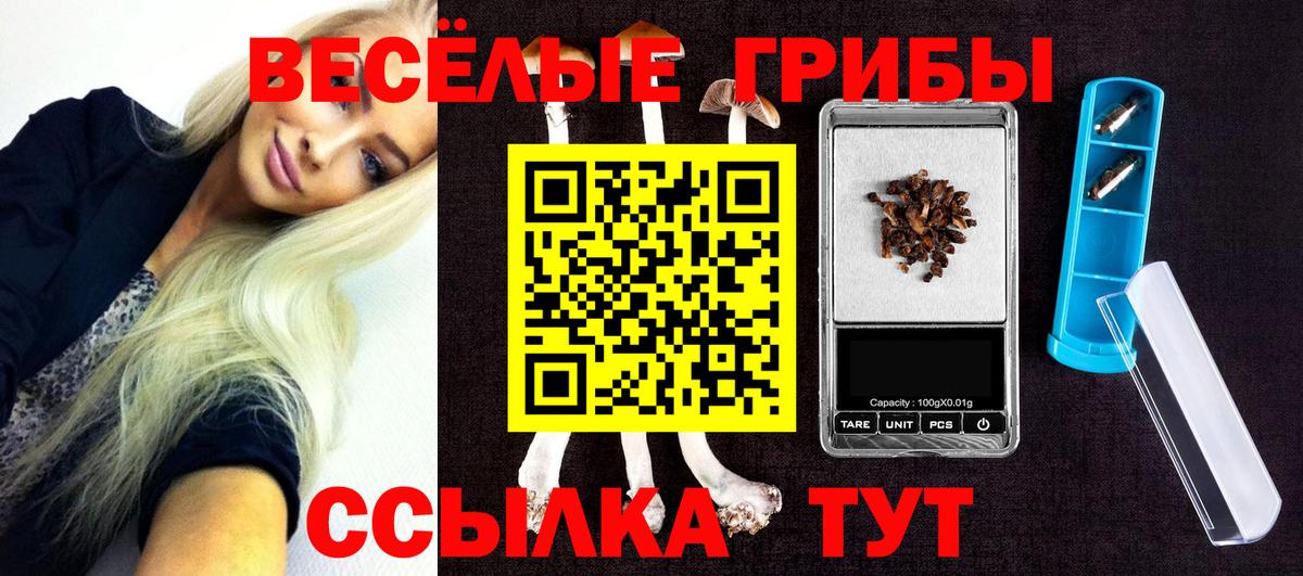 Галлюциногенные грибы мухоморы  Псилоцибиновые грибы Psilocybe  Вход с VPN  Лабытнанги 